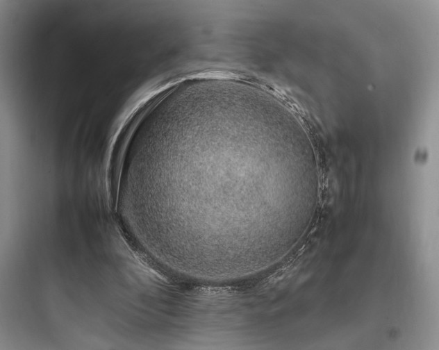 X0000097900296200803211448