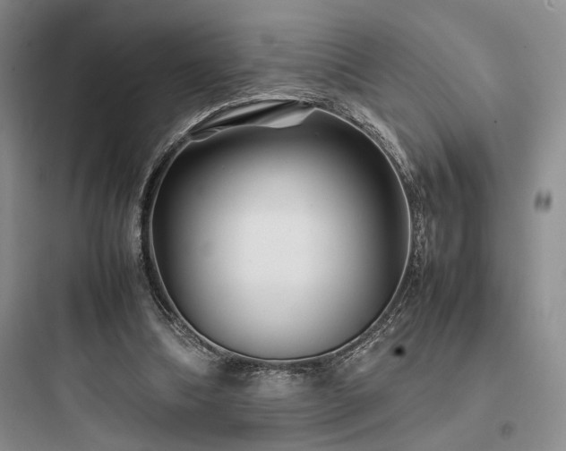 X0000097900298200803211448
