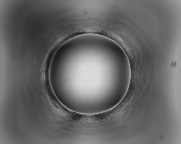 X0000097900299200803211448