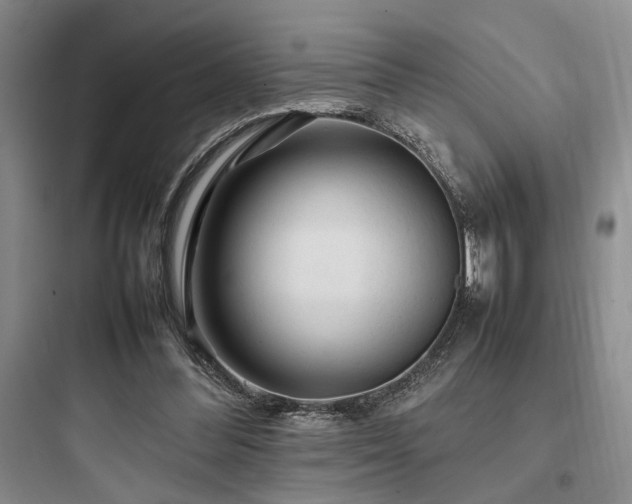 X0000097900300200803211448