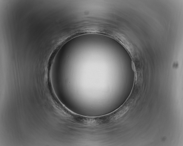 X0000097900301200803211448