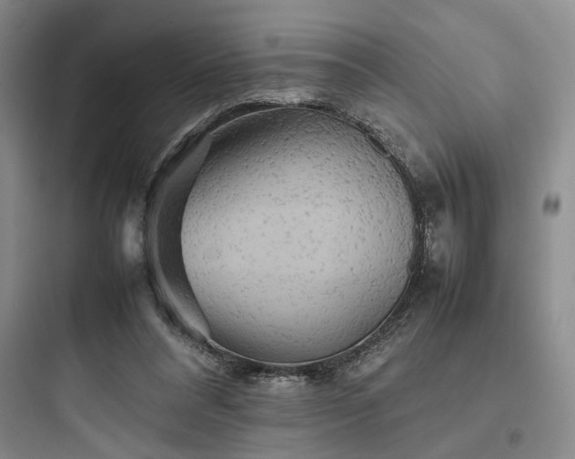 X0000097900304200803211448