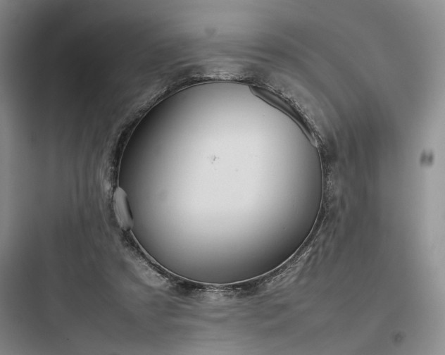 X0000097900305200803211448