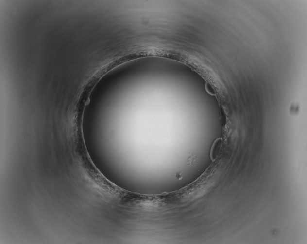 X0000097900306200803211448