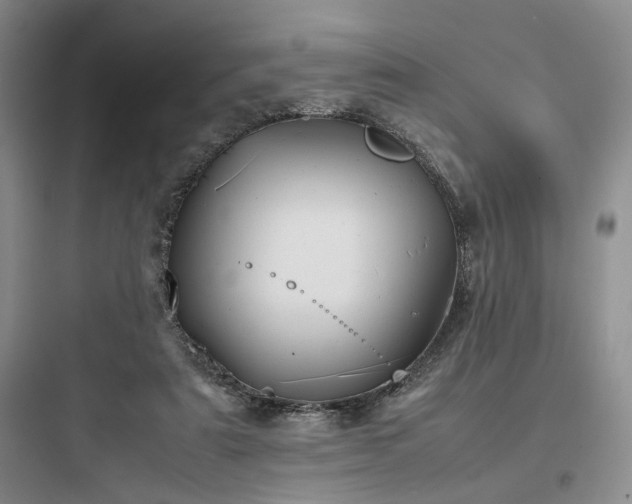 X0000097900307200803211448