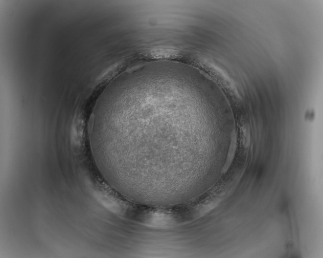 X0000097900308200803211448
