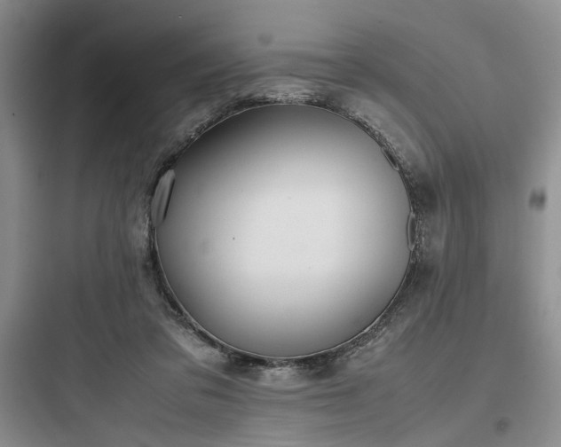 X0000097900309200803211448