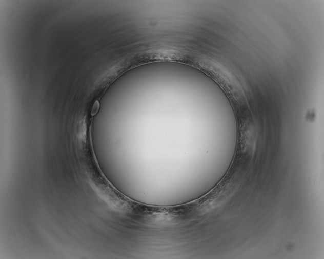 X0000097900310200803211447