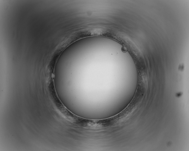X0000097900311200803211447
