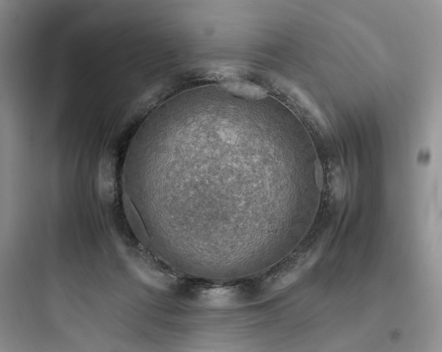 X0000097900312200803211447