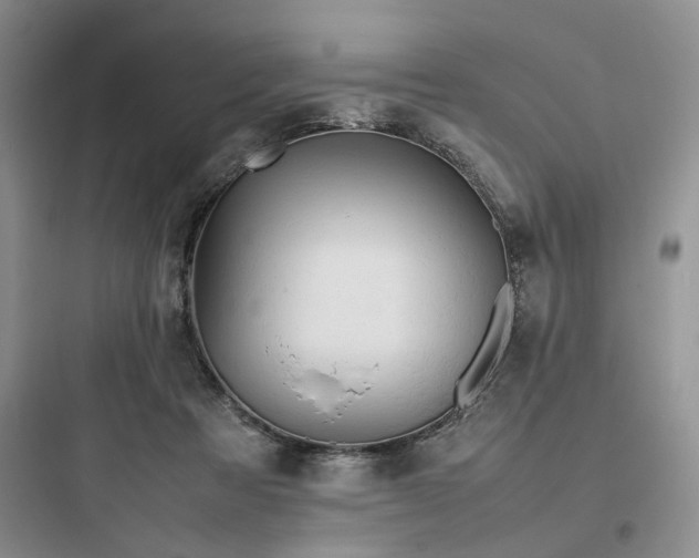 X0000097900313200803211447