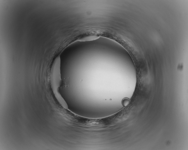 X0000097900315200803211447