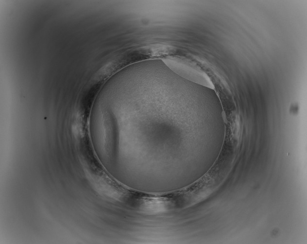 X0000097900316200803211447