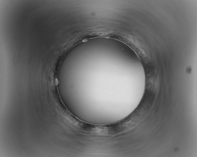 X0000097900317200803211447