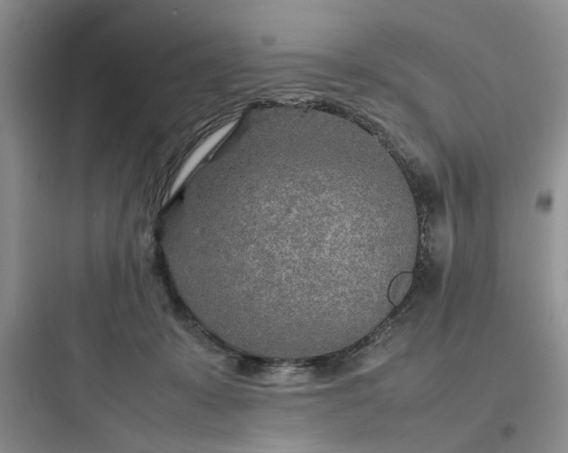 X0000097900319200803211447