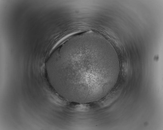 X0000097900320200803211447