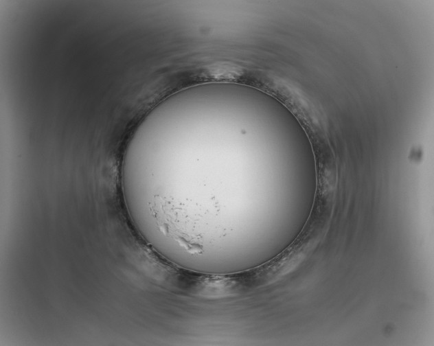 X0000097900321200803211447
