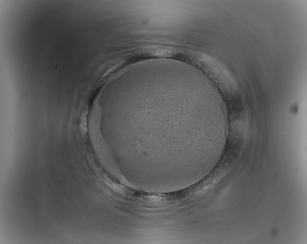 X0000097900325200803211447