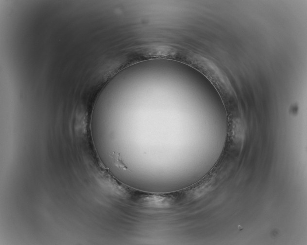 X0000097900326200803211447