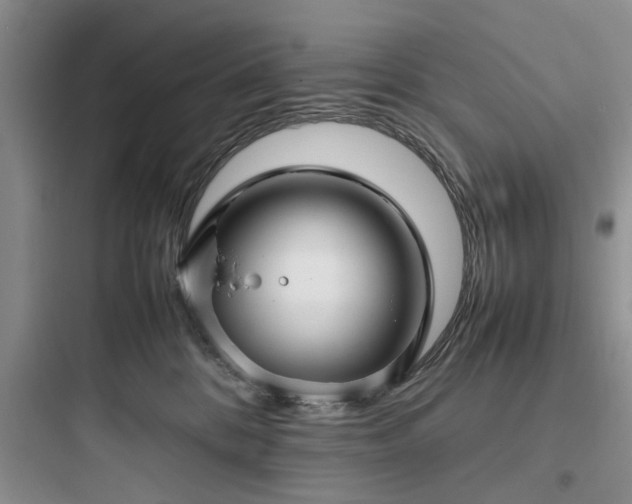 X0000097900328200803211447