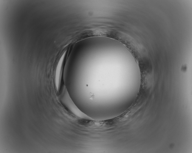 X0000097900329200803211447
