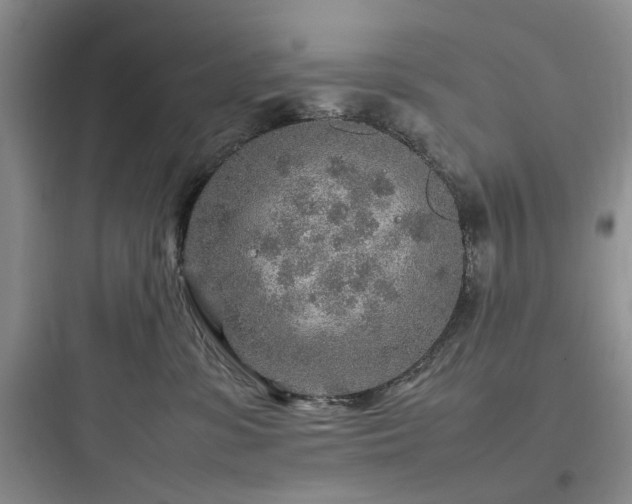 X0000097900331200803211447