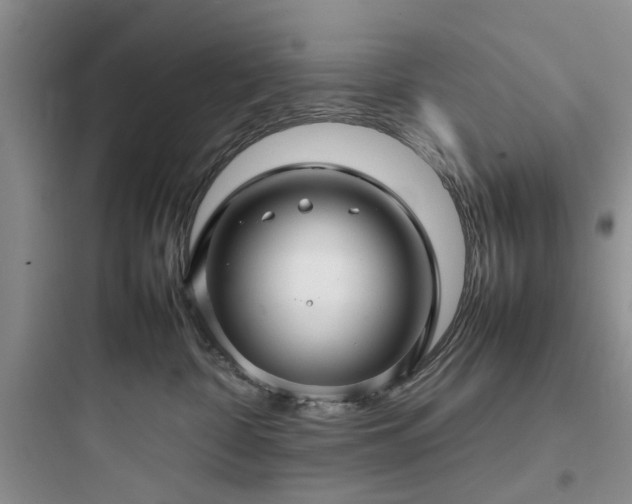 X0000097900332200803211447