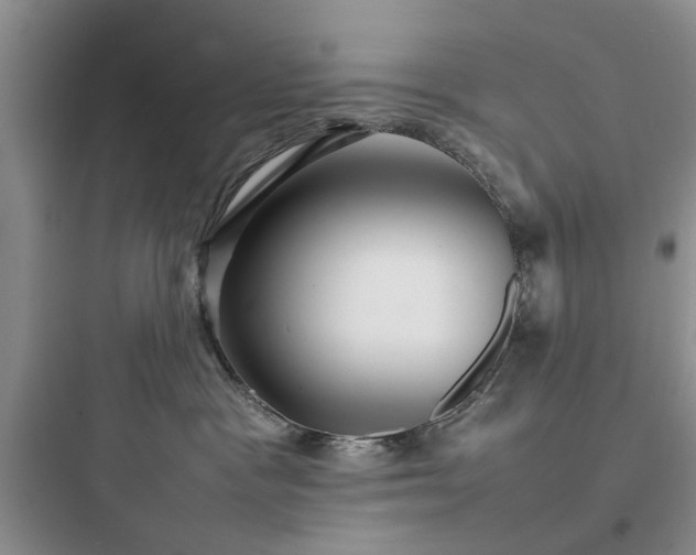 X0000097900333200803211447