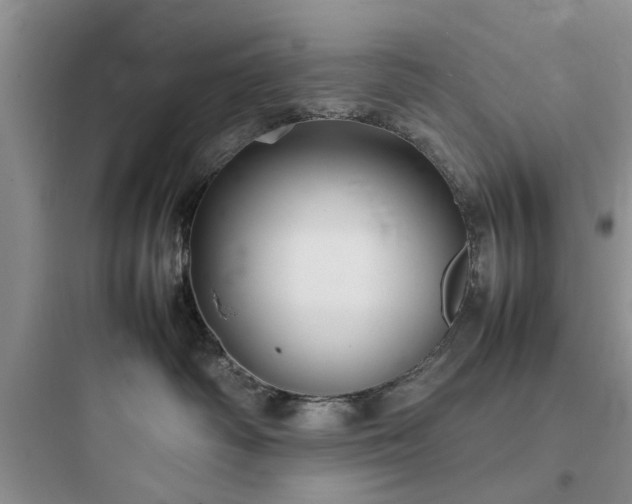 X0000097900334200803211447