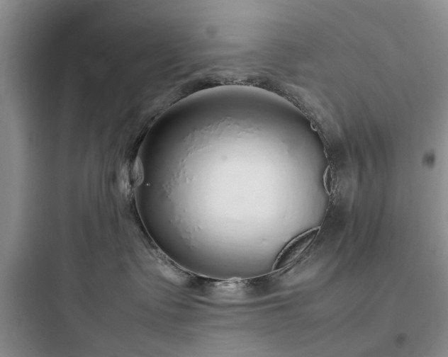X0000097900335200803211447