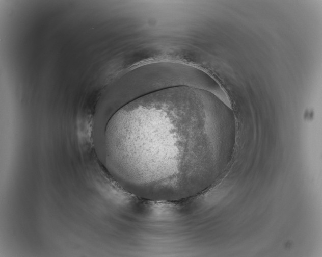 X0000097900336200803211447
