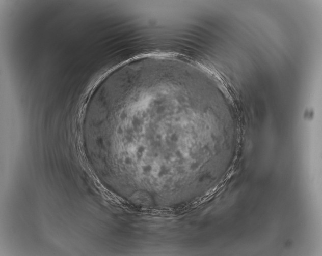X0000097900337200803211446