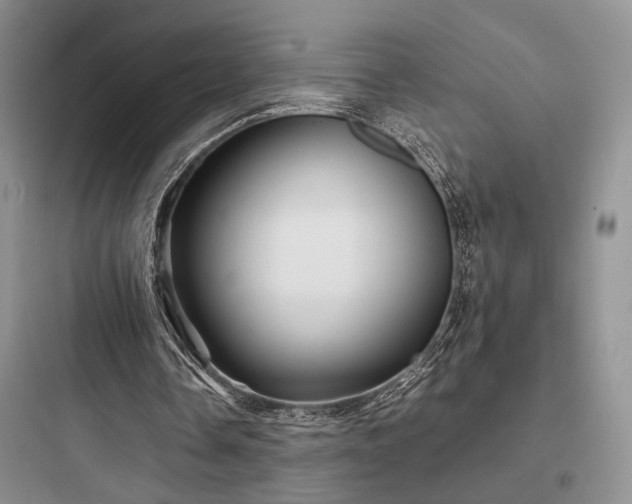 X0000097900338200803211446