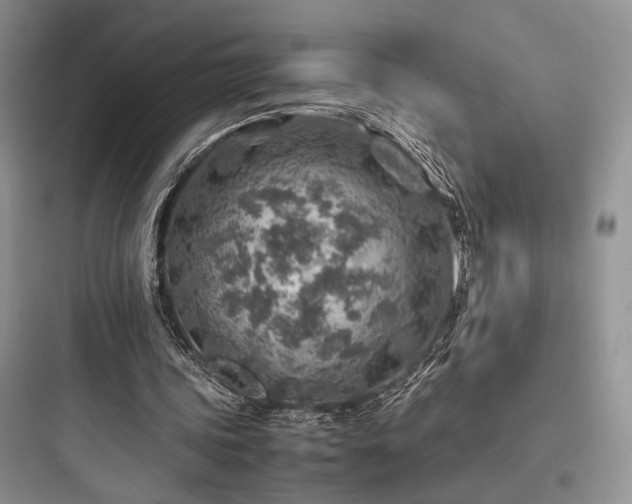 X0000097900339200803211446