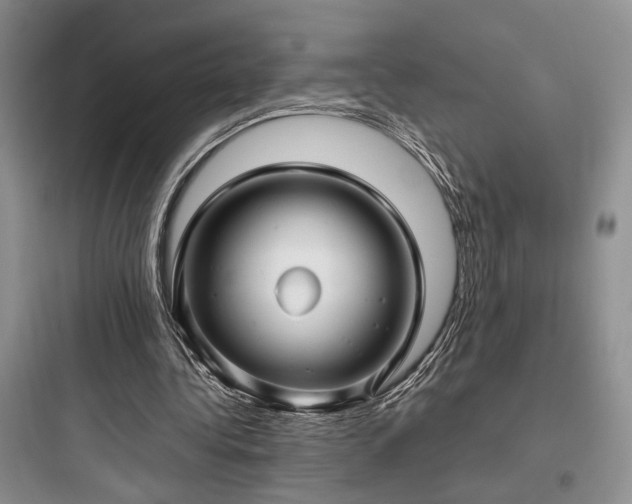 X0000097900340200803211446