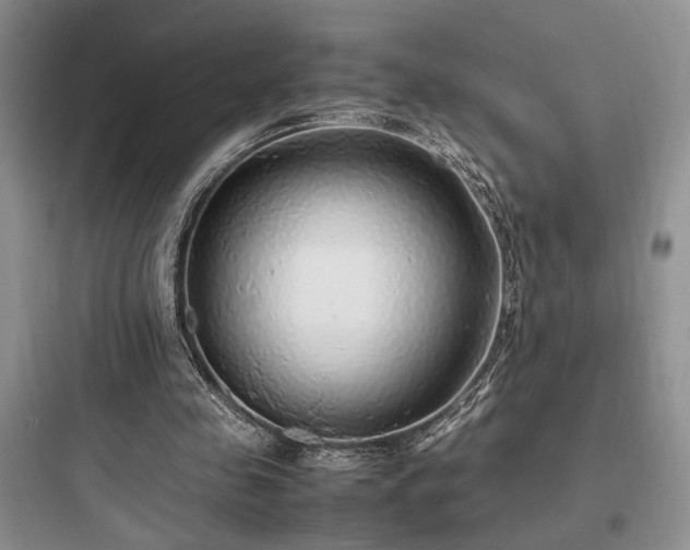 X0000097900341200803211446