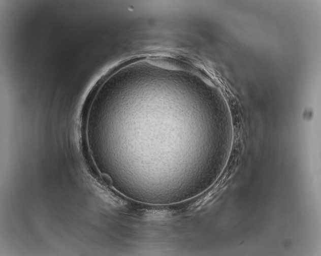 X0000097900342200803211446