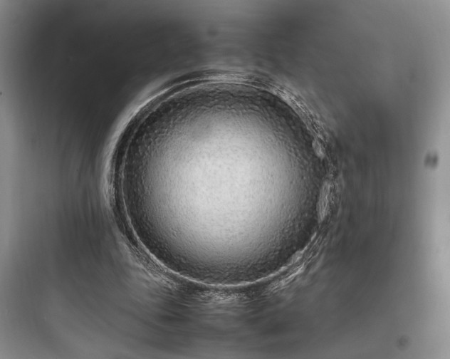 X0000097900343200803211446