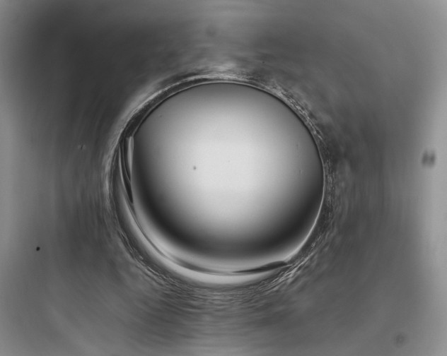 X0000097900344200803211446