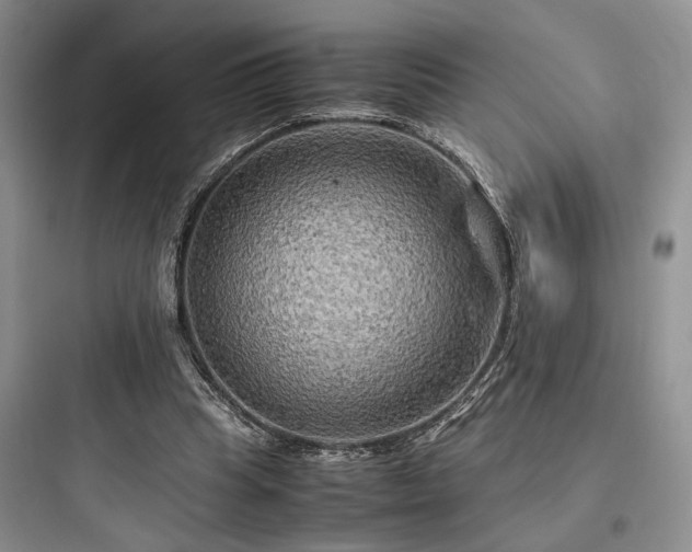 X0000097900345200803211446