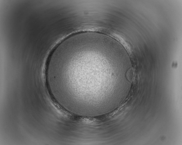 X0000097900346200803211446