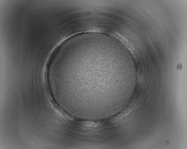 X0000097900347200803211446