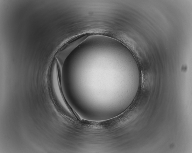 X0000097900348200803211446