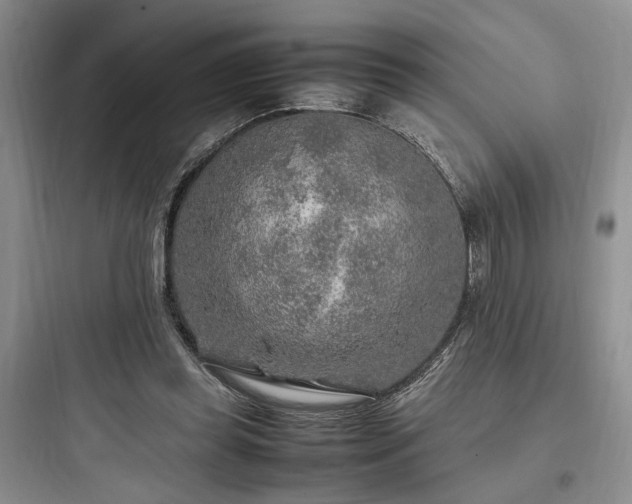 X0000097900349200803211446