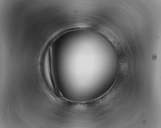 X0000097900350200803211446