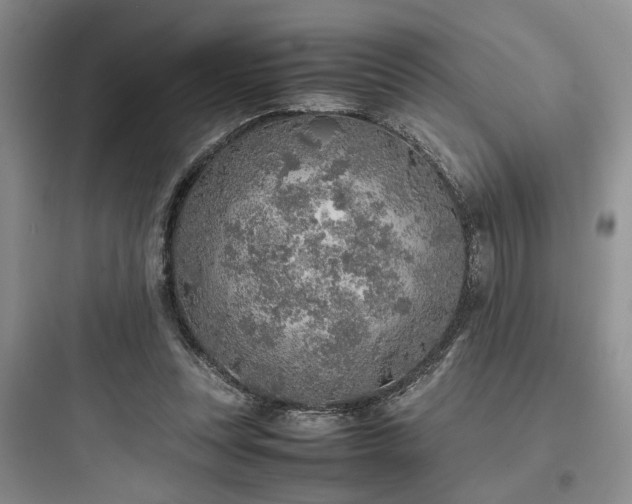 X0000097900351200803211446