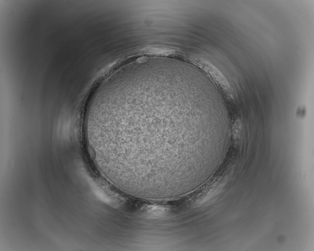 X0000097900352200803211447