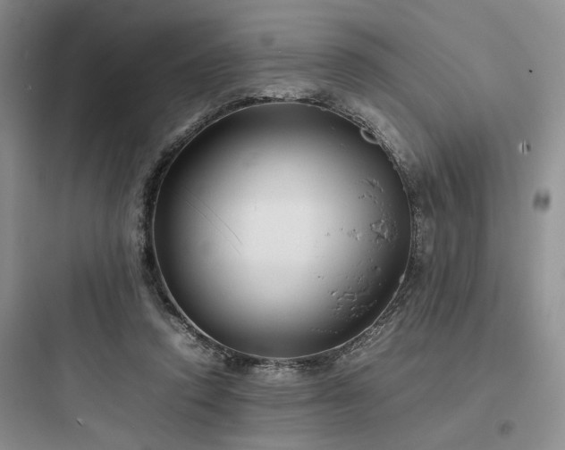 X0000097900354200803211447