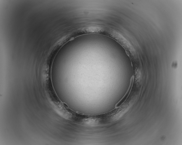 X0000097900356200803211447