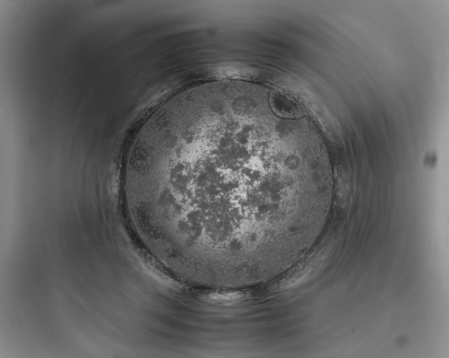 X0000097900357200803211447